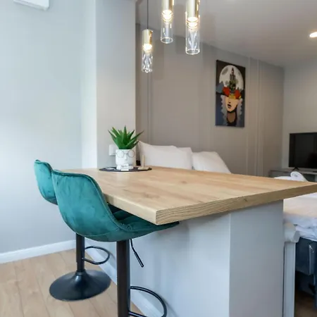 Trumpalaike Butu Nuoma Kaune Prie Kliniku Studija E Self Check In Appartamento *