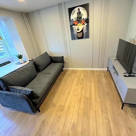 Appartamento Trumpalaike Butu Nuoma Kaune Prie Kliniku Studija E Self Check In *