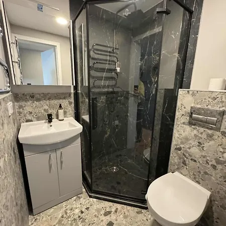 Trumpalaike Butu Nuoma Kaune Prie Kliniku Studija E Self Check In * Kaunas