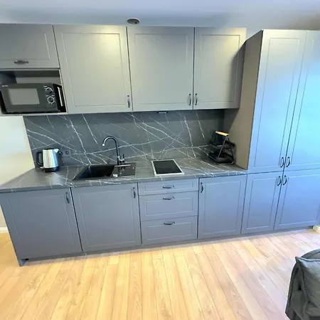 Trumpalaike Butu Nuoma Kaune Prie Kliniku Studija E Self Check In