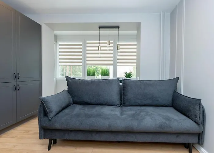 Trumpalaike Butu Nuoma Kaune Prie Kliniku Studija E Self Check In Appartamento *