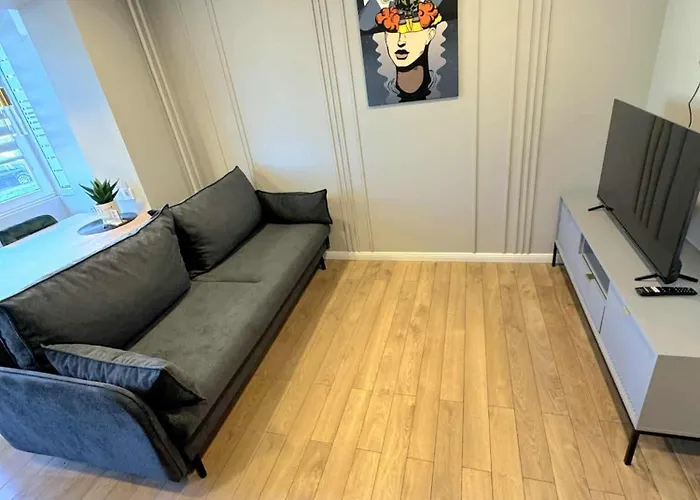 Appartamento Trumpalaike Butu Nuoma Kaune Prie Kliniku Studija E Self Check In *