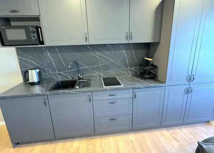 Trumpalaike Butu Nuoma Kaune Prie Kliniku Studija E Self Check In